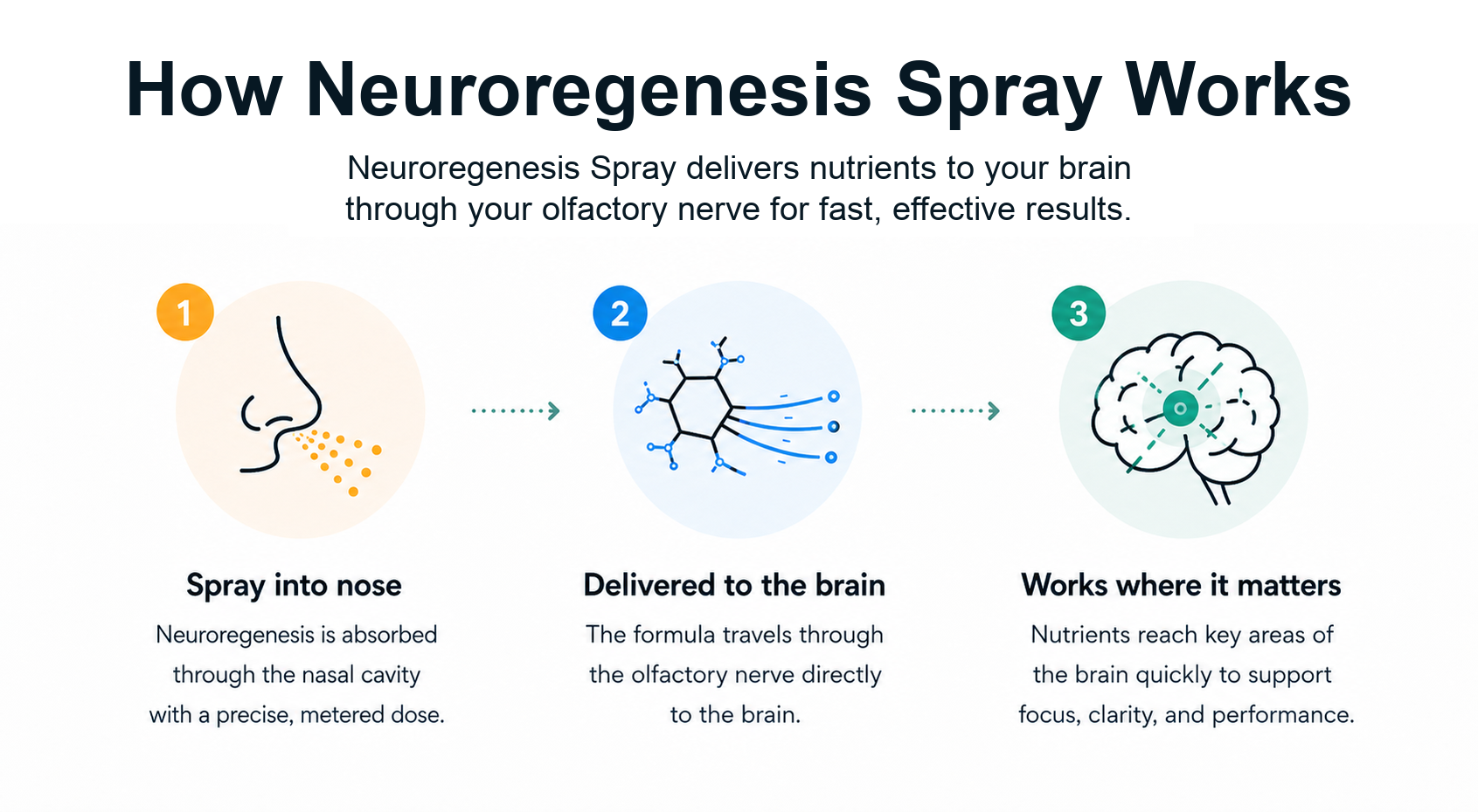How Neuroregenesis Spray Works